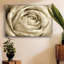 Neutral Wall Flower IV, reproduction d'art sur toile encadrée-94357711-94357708