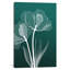 «X-Ray Flowers III», impression sur toile-72009235-21487982