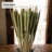 Flournoy Preserved Oat Grass Stem Bundle-474869458