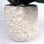 Plastic, Silk Artificial Arrangement in Planter
