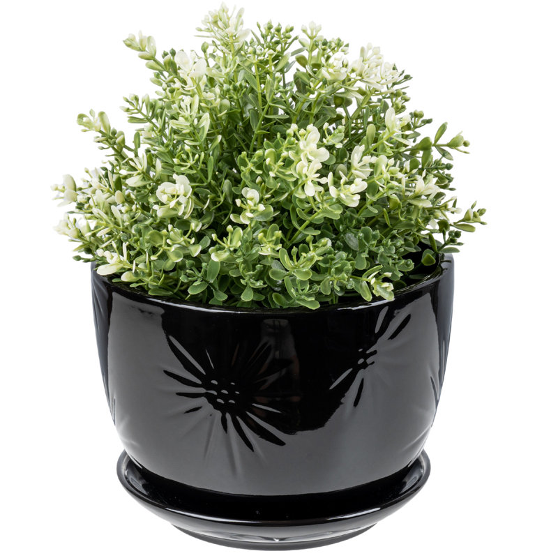 Round Ceramic Flower Pot Planter, Black