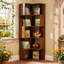 48cm W Bookcase-1066349605-1066349603