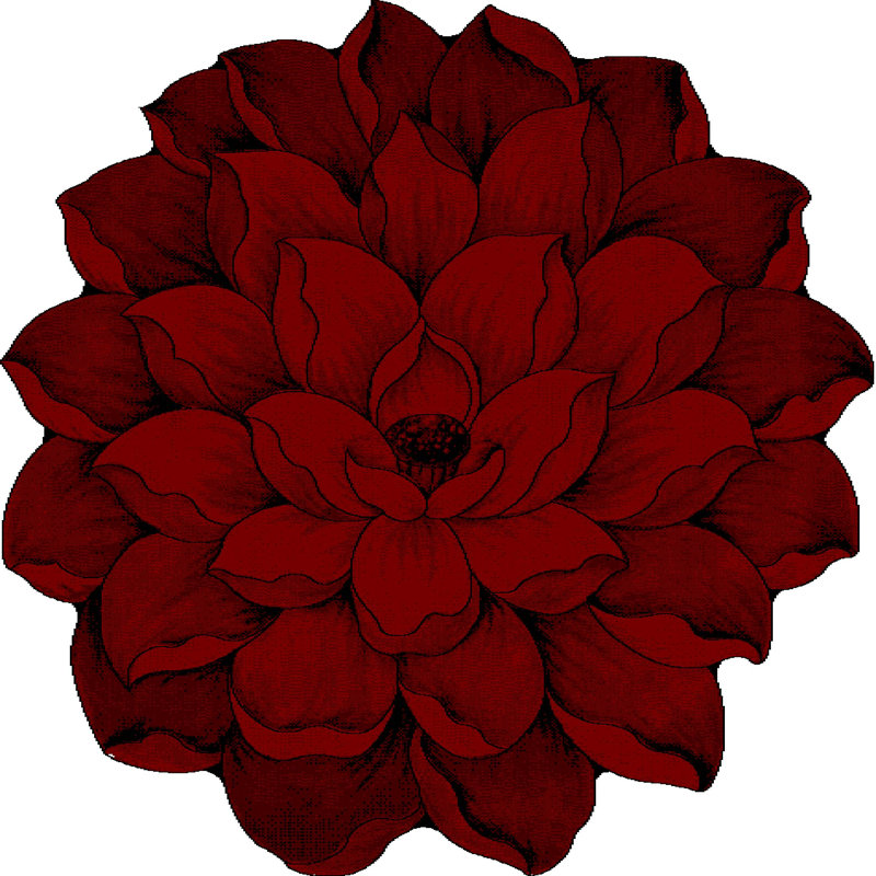Vesta Floral Indoor Rug, Novelty 5'3"