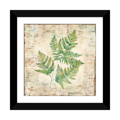 «Birch Bark Ferns I», impression sur toile