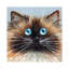 Choc Seal Point by Kim Haskins - Wrapped Canvas Painting-1635573158