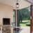 Feride 1-Light Outdoor Hanging Pendant Light