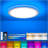 12Inch Smart Ceiling Light,24W 2400LM LED Flush Mount Ceiling Light With Remote,RGB Mode,3000K-6500K,10%-100% Dimmable,Smart APP Control,LED Light Fixture For Bedroom/Kitchen