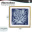 Corail blanc sur cadre flottant indigo, design par Patti Bishop-918654493-918654471