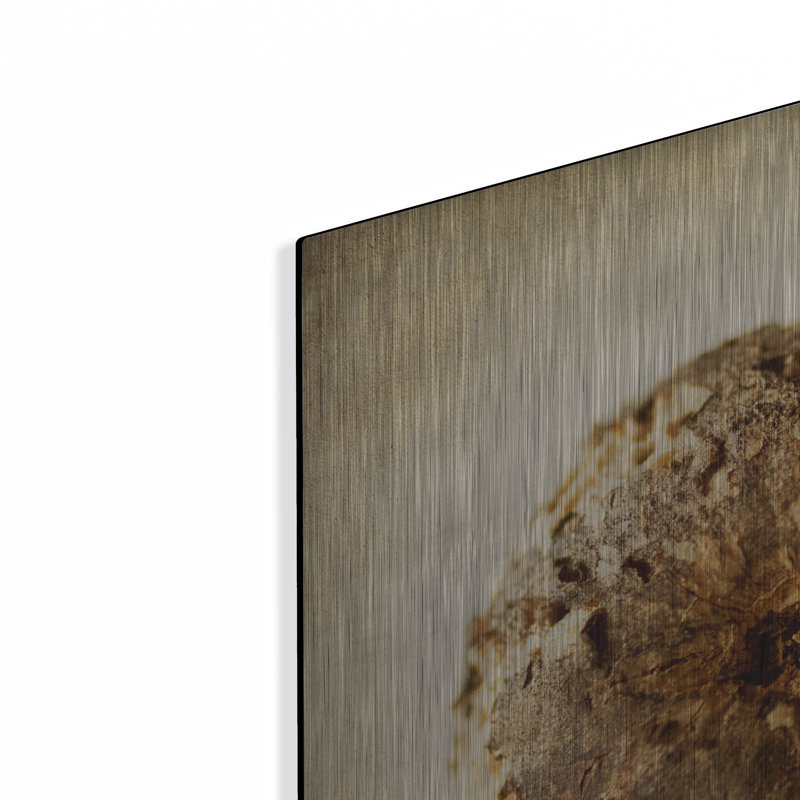«Oak Pods 5» par Jessica Rogers, H 24 po x l 24 po