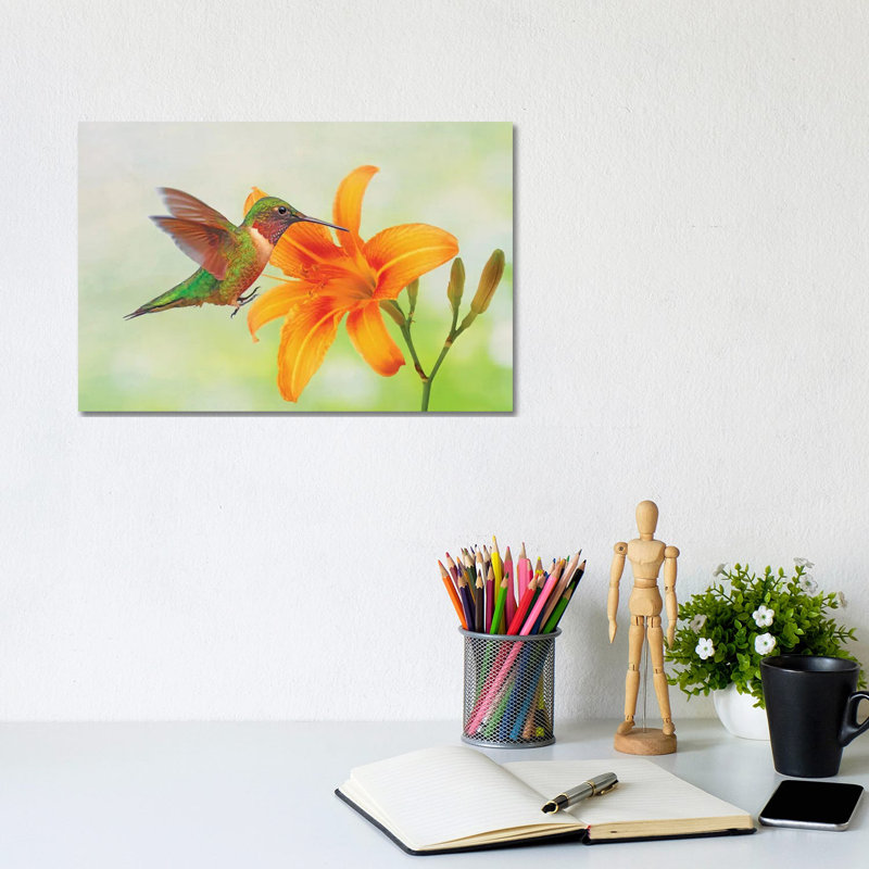 Hummingbird And Orange Day Lily by Laura D Young - Gallery-Wrapped Canvas Giclée on Canvas, Wrapped Canvas
