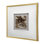 Remi Agate Shadow Box - Champagne Frame, Gray Velvet Back, Pop Of Color Wall Decor