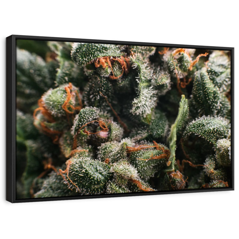 Reproduction sur toile de trichomes glandulaires, H 21 po x l 31 po
