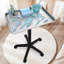 Chariot 12,8 W