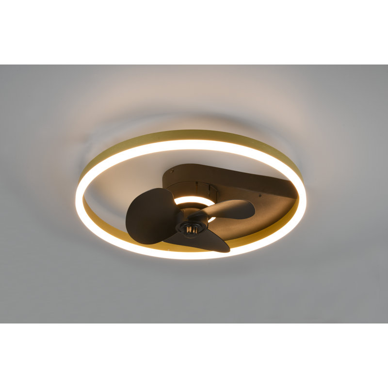 Donnelle 50cm Ceiling Fan with LED Lights, Black