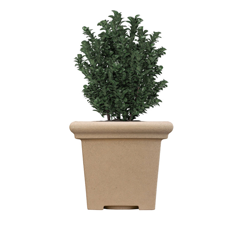Donaho Pot Planter (Set of 2), Sandstone