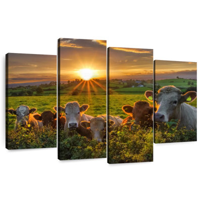 Brampt Sunset Cows
