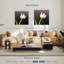 Tulipes blanches Harnek