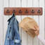 Schweiger Wall Hook