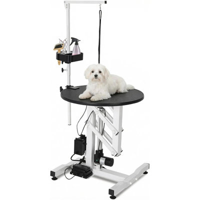 Table de toilettage électrique 24 po pour chien avec plateau rotatif, commande au pied, bras supérieur et rangement pour outils, capacité de 250 lb pour les petits animaux de compagnie