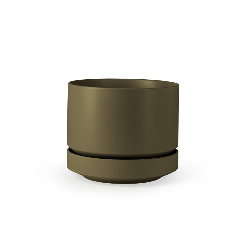 Pot à fleurs en céramique Byer, H 9,25 po x l 10,25 po x P 10,25 po, Olive