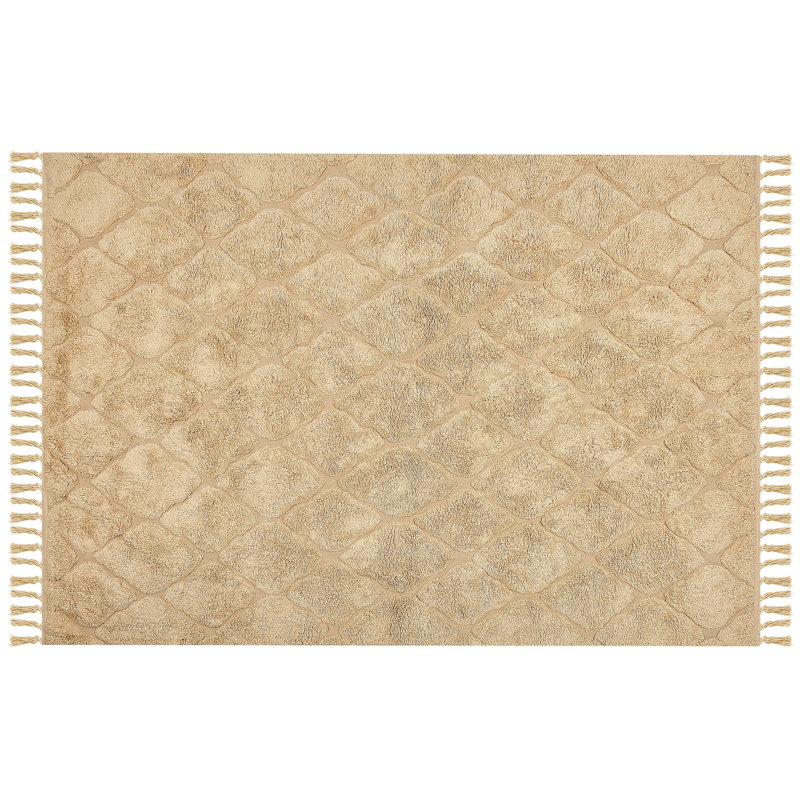Rourke Geometric Cotton Hand Woven Area Rug, Rectangle 160 x 230cm