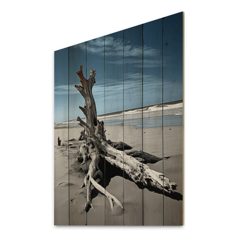 «Beach Driftwood Photo II» sur bois, H 32 po x l 24 po x P 0,78 po