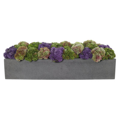 Faux Succulent Plant in Fiberstone Planter