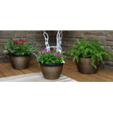 Kwai 3-pc Basketweave Assorted Round Brown Polyresin Outdoor Planter Pots