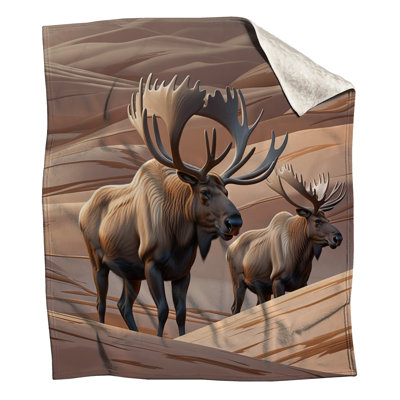 Two Majestic Moose Blankets