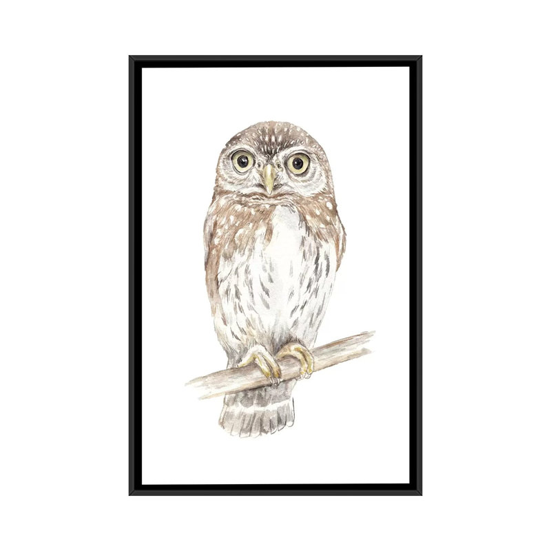 « northern pygmy hibou », impression sur toile, H 26 po x l 18 po x P 1,5 po, Toile avec cadre noir, Pas de tapis