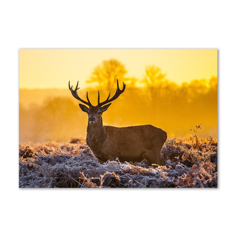 Deer Sunrise - No Frame Print on Canvas