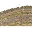 Silk Oriental Area Rug in Ivory