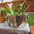 Saenz Stainless Steel Beverage Tub-25173042