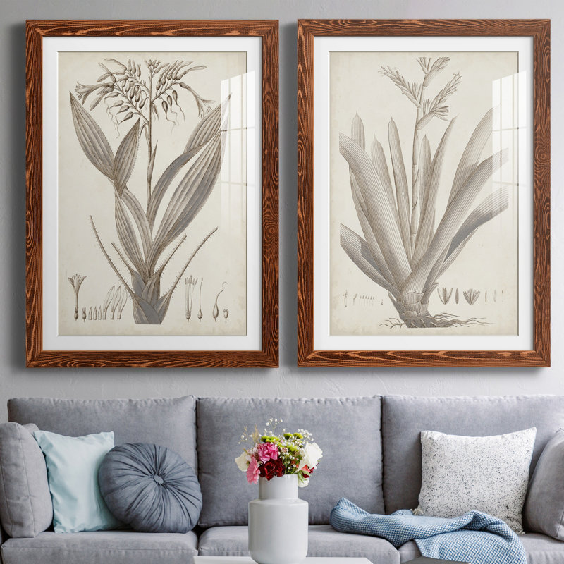 «Sepia Exotic Plants VII», ensemble de 2 reproductions d'art sur papier encadré, H 43,5 po x l 31,5 po x P 1 po
