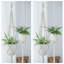 Ensemble de 4 cintres de jardin suspendus en corde de coton tissée à la main avec pot de fleurs et pampilles, 41 po, beige