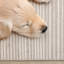 Kempst Cream Beige Soft Geometric Lines Rug-190246939