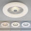 Waris LED Flush Mount