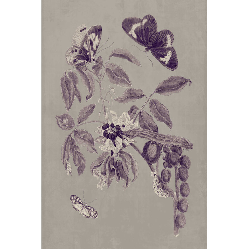 «Nature Study In Plum & Taupe II» par Maria S. Merian - reproduction d'art sur toile tendue, H 36 po x l 24 po