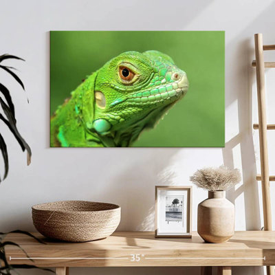 Green Lizard Closeup