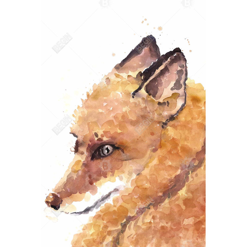 Fox Bath Mat with Non-Slip Backing - Quick Dry Memory Foam Bathroom Rug - Absorbent - Modern Plush Spa-Style - Machine Washable