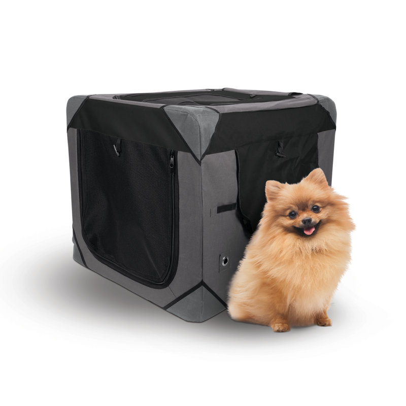 Cage pour animaux de compagnie doux zeus, H 25 po x l 25 po x P 36 po