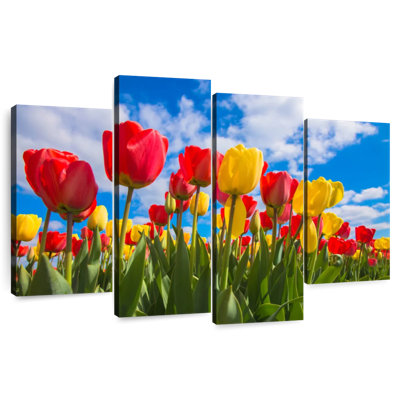 Harnek Spring Tulip Field