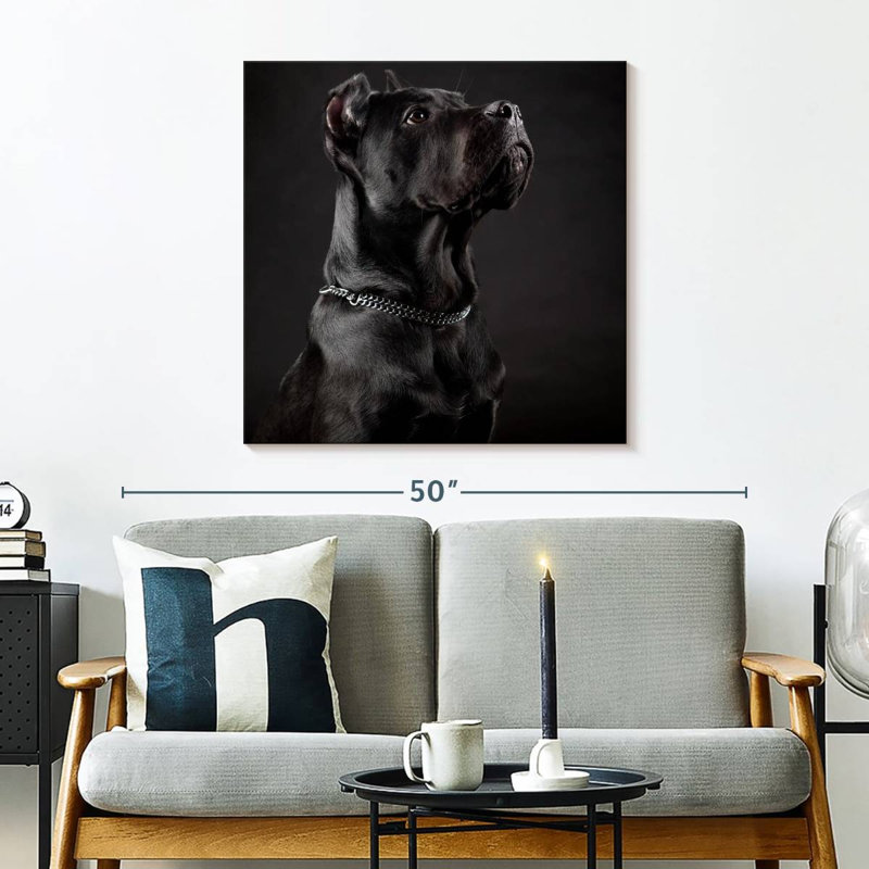 Brampt Dignified Cane Corso Dog, 30" H x 30" W