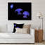 Reproduction sur toile - Méduse mauve sur fond noir-67390286-67390281