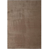 Rapture Area Rug in Brown