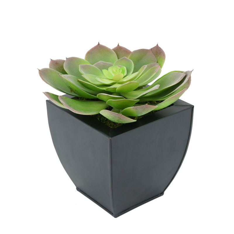8.50'' Faux Succulent in Metal Pot, Black