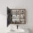 Bathroom Mirror Cabinet with Storage