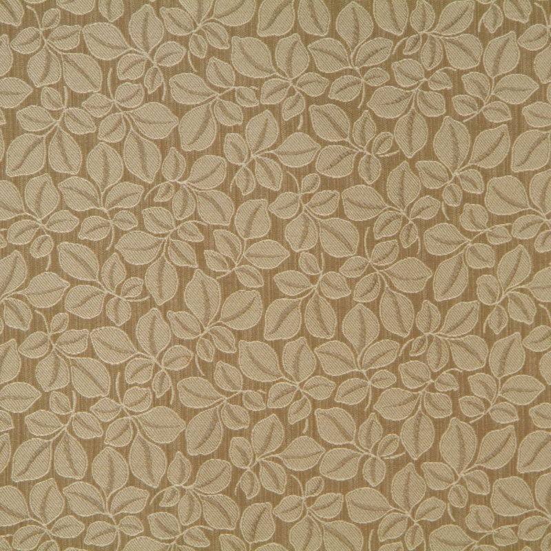 Allure Fabric