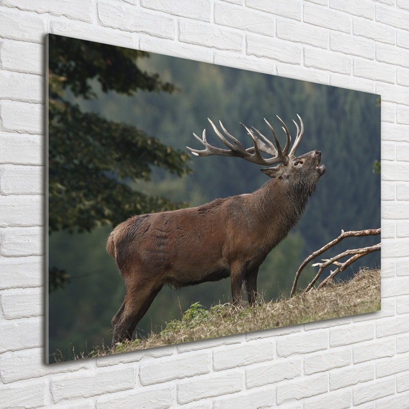 Glass Print Wall Art 100X70cm Image Printed On Glass Decorative Wall Picture Behind Toughened / Tempered Safety Real Glass For Kitchen & Living Room Theme:Deer On The Hill
