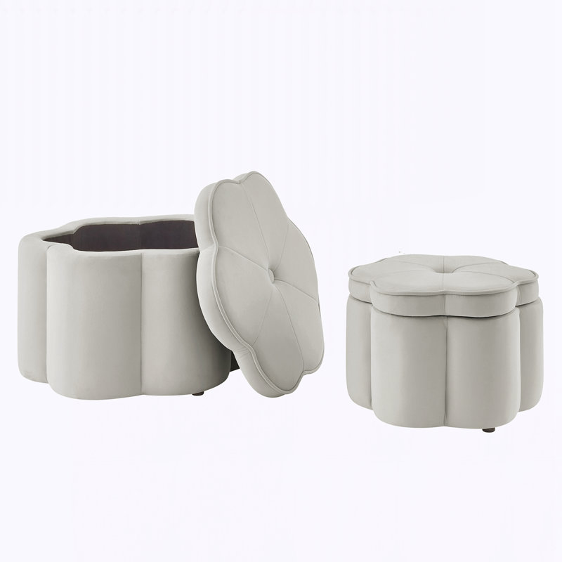 Ensemble de 2 repose-pieds avec rangement, Gris